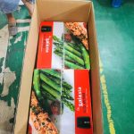GOLDEN EAGLE AMJ AIR FRYER 9 Liters, Shipment