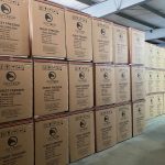 OXYTECH China Chest Freezer 250L Shipment