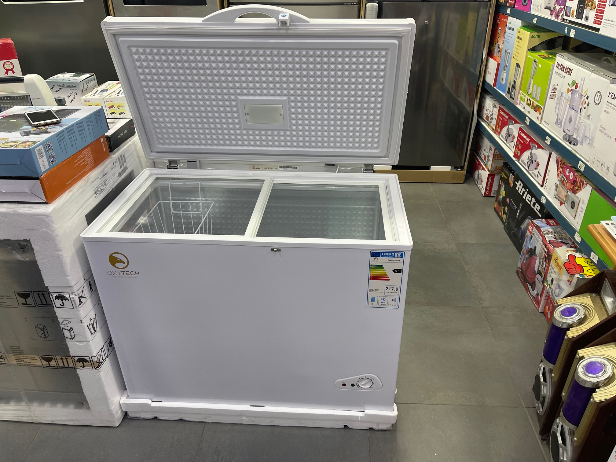 OXYTECH China Chest Freezer 250L Shipment